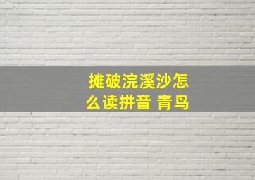 摊破浣溪沙怎么读拼音 青鸟